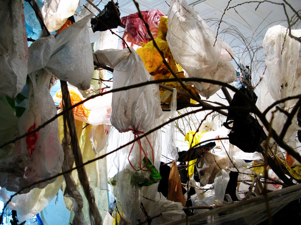 Two Hamtramck installations invite you inside Knight Foundation