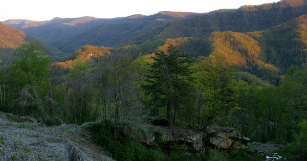 Report for America set out to give local news a boost. Here’s how it’s going