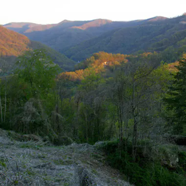 Report for America set out to give local news a boost. Here’s how it’s going